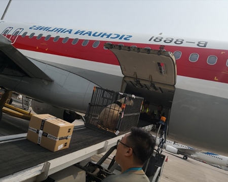 航空物流发货注意事项